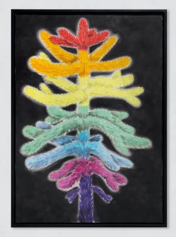 Andrew Sim , Portrait of a small rainbow tree, 2024 , Anton Kern Gallery