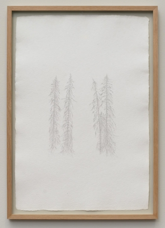 Ann Böttcher , Tusen år i Småland, IV (Västra härad), 2024 , Galerie Nordenhake