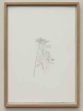 Ann Böttcher , Tusen år i Småland, V (Ydre härad), 2024 , Galerie Nordenhake