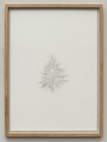 Ann Böttcher , Tusen år i Småland, III (Falsters Sønder Herred, Danmark), 2023 , Galerie Nordenhake