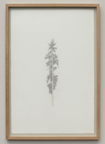 Ann Böttcher , Tusen år i Småland, X (Ydre härad), 2024 , Galerie Nordenhake