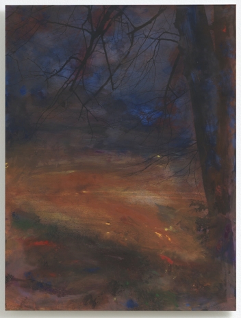 Erik Steffensen , Landscape (Lolland), 2024 , Galleri Bo Bjerggaard
