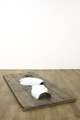 Danh Võ, Gustav’s wing, 2013, Galerie Chantal Crousel