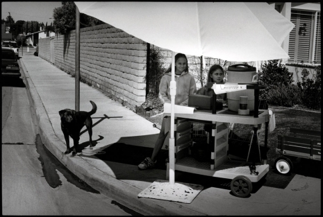 Ed Templeton, Lemonade Stand, HB, CA, 2001 - 2024 , Tim Van Laere Gallery