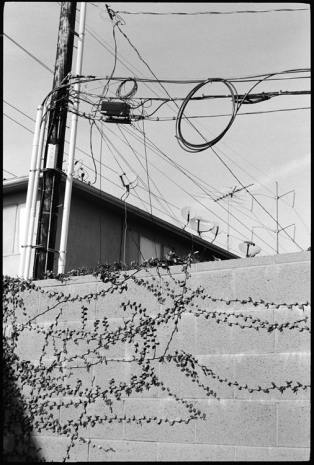 Ed Templeton, Wall and Wires, Los Angeles, 2024 , Tim Van Laere Gallery