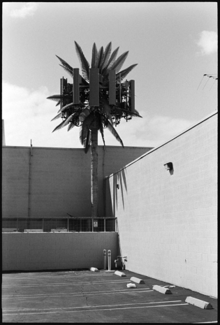 Ed Templeton, Cell Phone Tree, 2020 - 2024 , Tim Van Laere Gallery