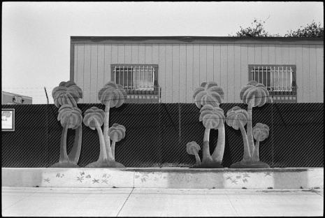 Ed Templeton, Suburban Scene, (palm tree cutouts), 2007 - 2024 , Tim Van Laere Gallery