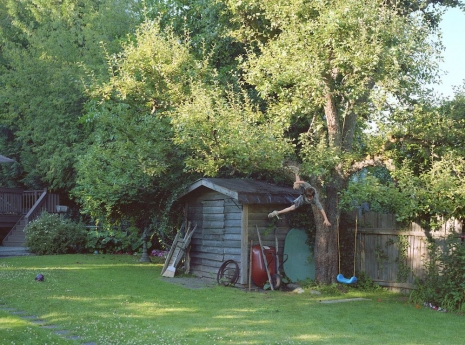 Jeff Wall, Boy falls from tree, 2010 , White Cube