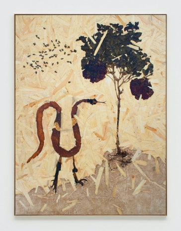Julius von Bismarck, Oriented Snake Board, 2024 , Sies + Höke Galerie