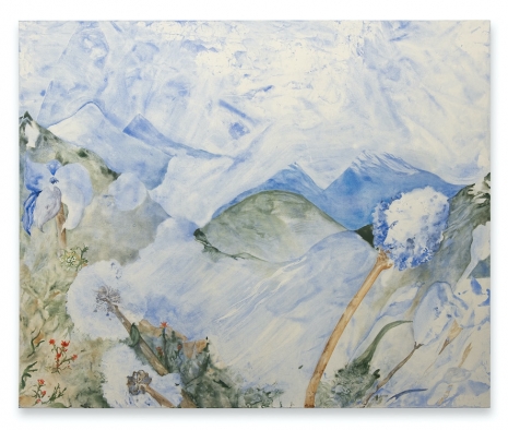 Paula Kamps, Mount Disappointment, 2024, Galerie Bernd Kugler