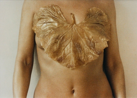 Birgit Jürgenssen, Untitled, 1988 , Alison Jacques