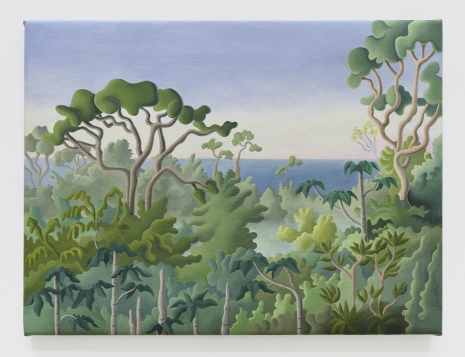 Daisy Dodd-Noble, Costa Rica Rainforest study, 2024 , MASSIMODECARLO