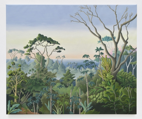 Daisy Dodd-Noble, Costa Rica Rainforest, 2024 , MASSIMODECARLO