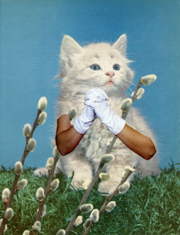 Marnie Weber, Kitten Prayer (5.21.12), 2012, Praz-Delavallade