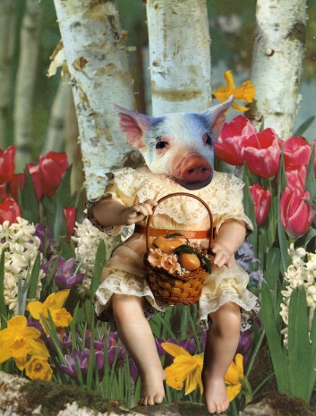 Marnie Weber, Happy Day Pig (7.29.12), 2012, Praz-Delavallade