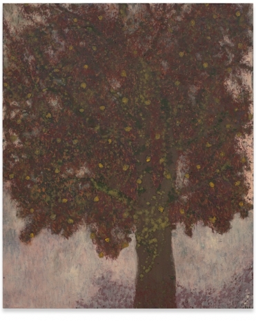 Oliver Bak, Autumn tree, 2024 , Sprüth Magers