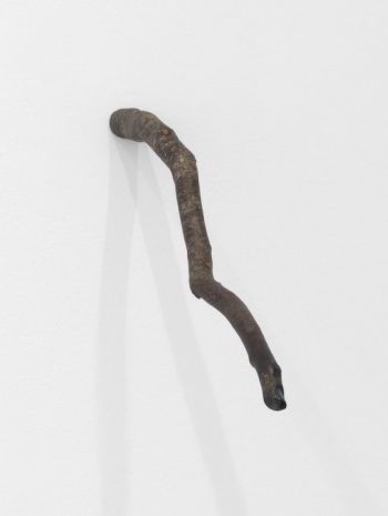 Adam Putnam , Finger, 2022 , Gladstone Gallery