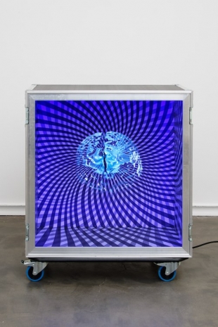 Peter Kogler, Untitled (Brain), 2023 , Galerie Mitterrand