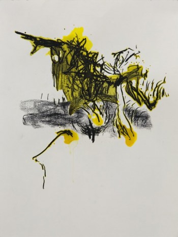 Shawki Youssef, Variation 2, 2013, Green Art Gallery