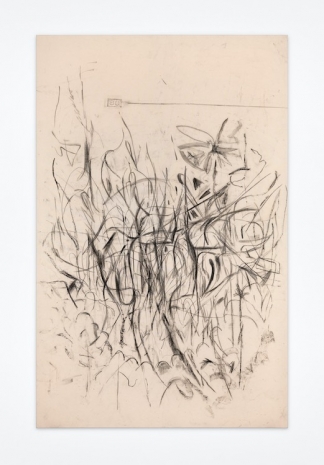 Peppi Bottrop, Untitled (PB.24.11), 2024, Galería Ehrhardt Flórez