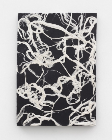 Jay Heikes, Salamander's Wool, 2024 , Marianne Boesky Gallery