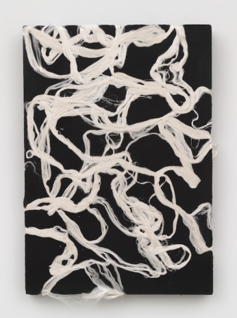 Jay Heikes, Salamander's Wool, 2023 , Marianne Boesky Gallery