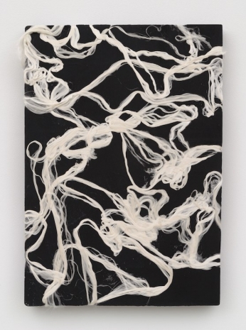 Jay Heikes, Salamander's Wool, 2023 , Marianne Boesky Gallery