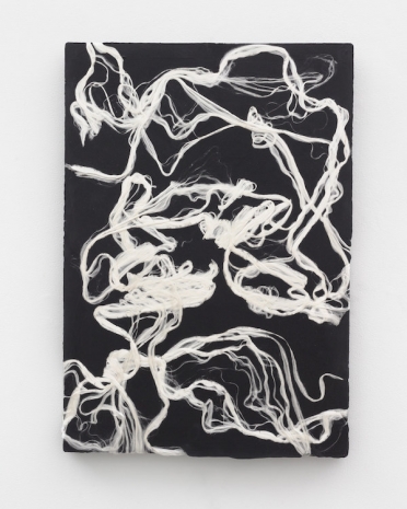 Jay Heikes, Salamander's Wool, 2024, Marianne Boesky Gallery