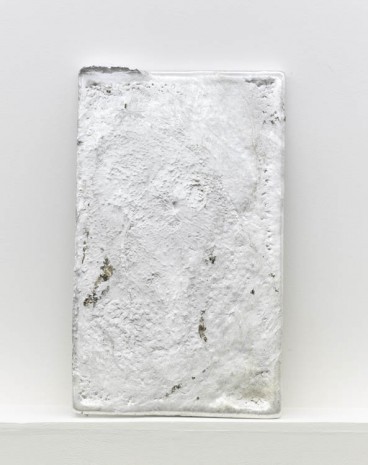 Elaine Cameron-Weir, Plate 33, 2012, Art : Concept