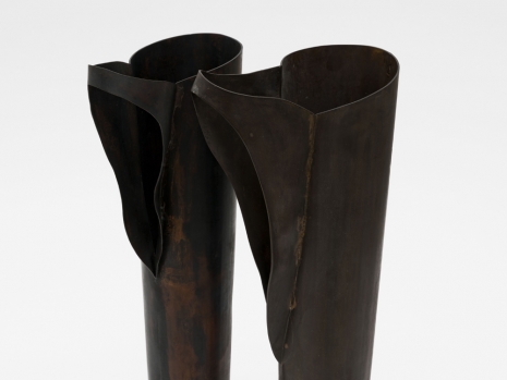 Alison Wilding, Pair, 1994 , Alison Jacques