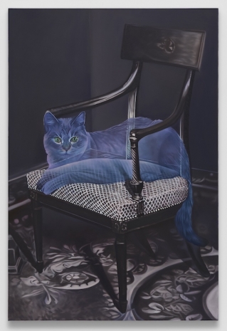 Ariana Papademetropoulos, Domestic cat, 2024 , MASSIMODECARLO