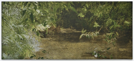 Daniel Boyd, Creek (WMHTA), 2024 , Marian Goodman Gallery