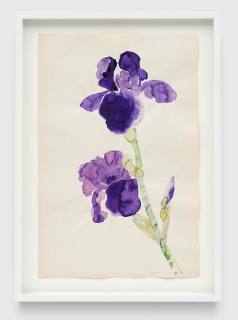 Ruth Asawa, Allie's Iris (WC.175, Purple Iris with Three Blooms), 1987 , David Zwirner