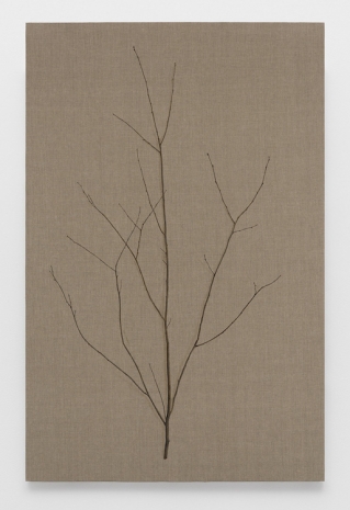 Helene Appel, Branch, 2024 , The Approach