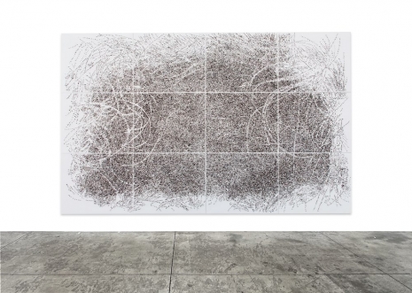 Giuseppe Penone , Spine d’acacia – Contatto, giugno 2006, 2006 , Cardi Gallery