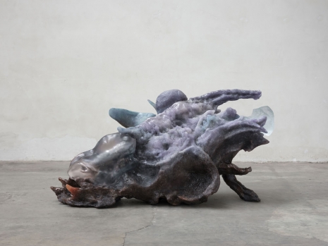 Pierre Huyghe , Mind's Eye (FY), 2023 , Galerie Chantal Crousel