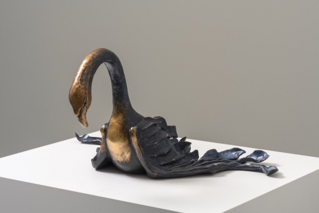 Grace Schwindt, Swan, 2021 , Galerie Peter Kilchmann