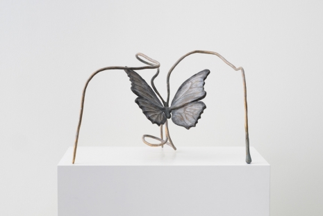 Grace Schwindt, Butterfly, 2022 , Galerie Peter Kilchmann