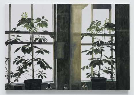 Mike Silva , Reflected Plant, 2024 , Anton Kern Gallery