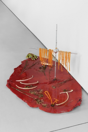 Yuli Yamagata, Tomato Spaghetti Puddle, 2024 , Anton Kern Gallery