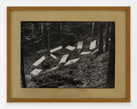 Lisa Newbold , Installation in Dry Brook Valley by Chris Martin, 1975 , Anton Kern Gallery