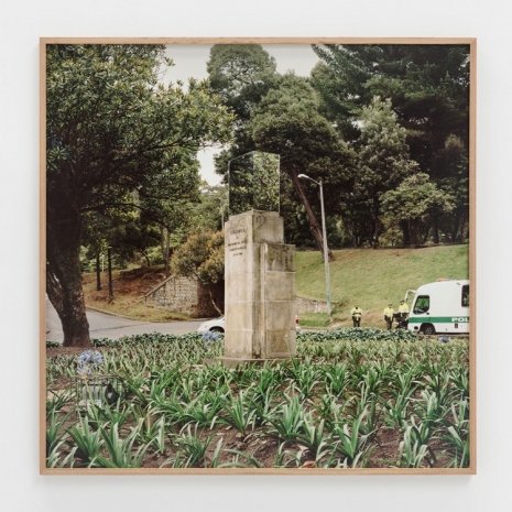 Iván Argote, Etcetera: Covering with Mirrors Francisco de Orellana, the So-Called Discoverer of the Amazon – National Park, Bogotá, 2012–18 , Perrotin