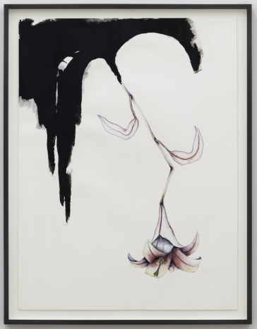 Grace Schwindt , Lilium, 2023 , Galerie Peter Kilchmann