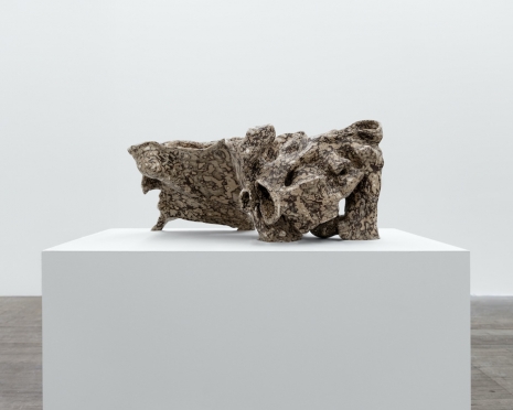 Jes Fan, Right Pelvis, Cross Section, 2024 , Andrew Kreps Gallery