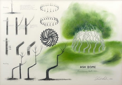 David Nash, Ash Dome (Project Drawing), 2001 , Galerie Lelong & Co.