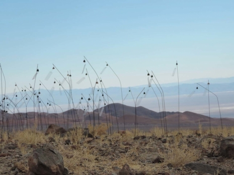 Christian Boltanski, Animitas (Chili), 2014, Marian Goodman Gallery