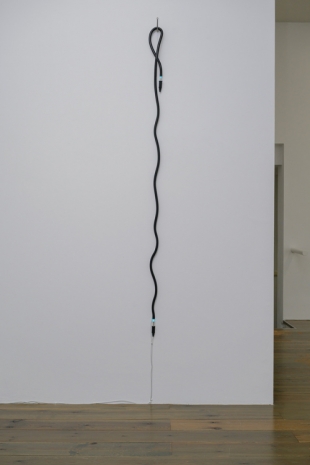 Jan van Munster, Hanging Brainwave, 2024 , Slewe Gallery