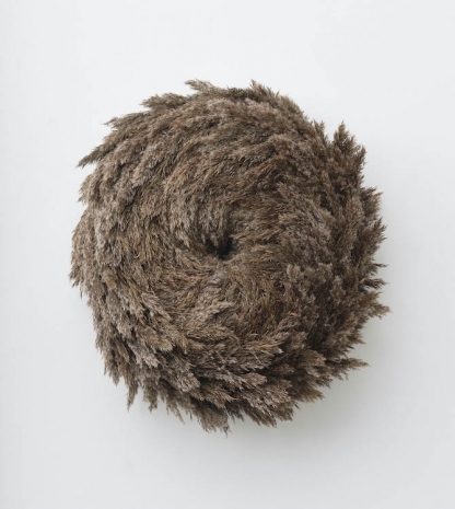 Rasmus Myrup, Exposed Hole (Blooming), 2024, Galleri Nicolai Wallner