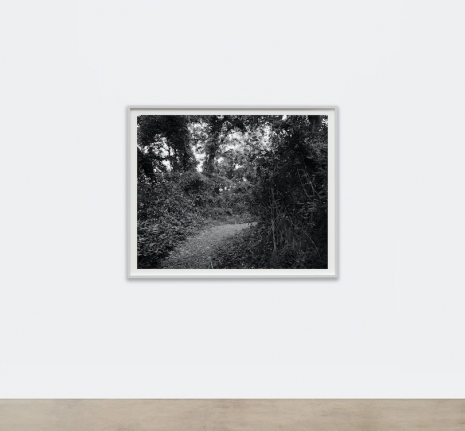 Dawoud Bey , Untitled (Curve in the Trail), 2023 , Sean Kelly