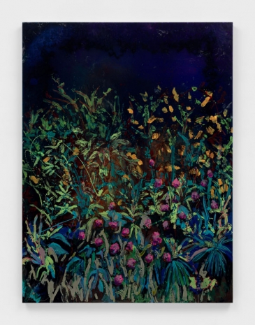 Kevin Beasley , Night Garden I, 2024 , Casey Kaplan